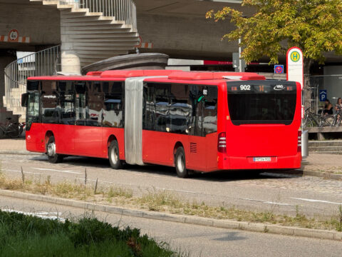 Sea You Festival 2026: So kommt ihr mit dem Shuttlebus zum Tunisee